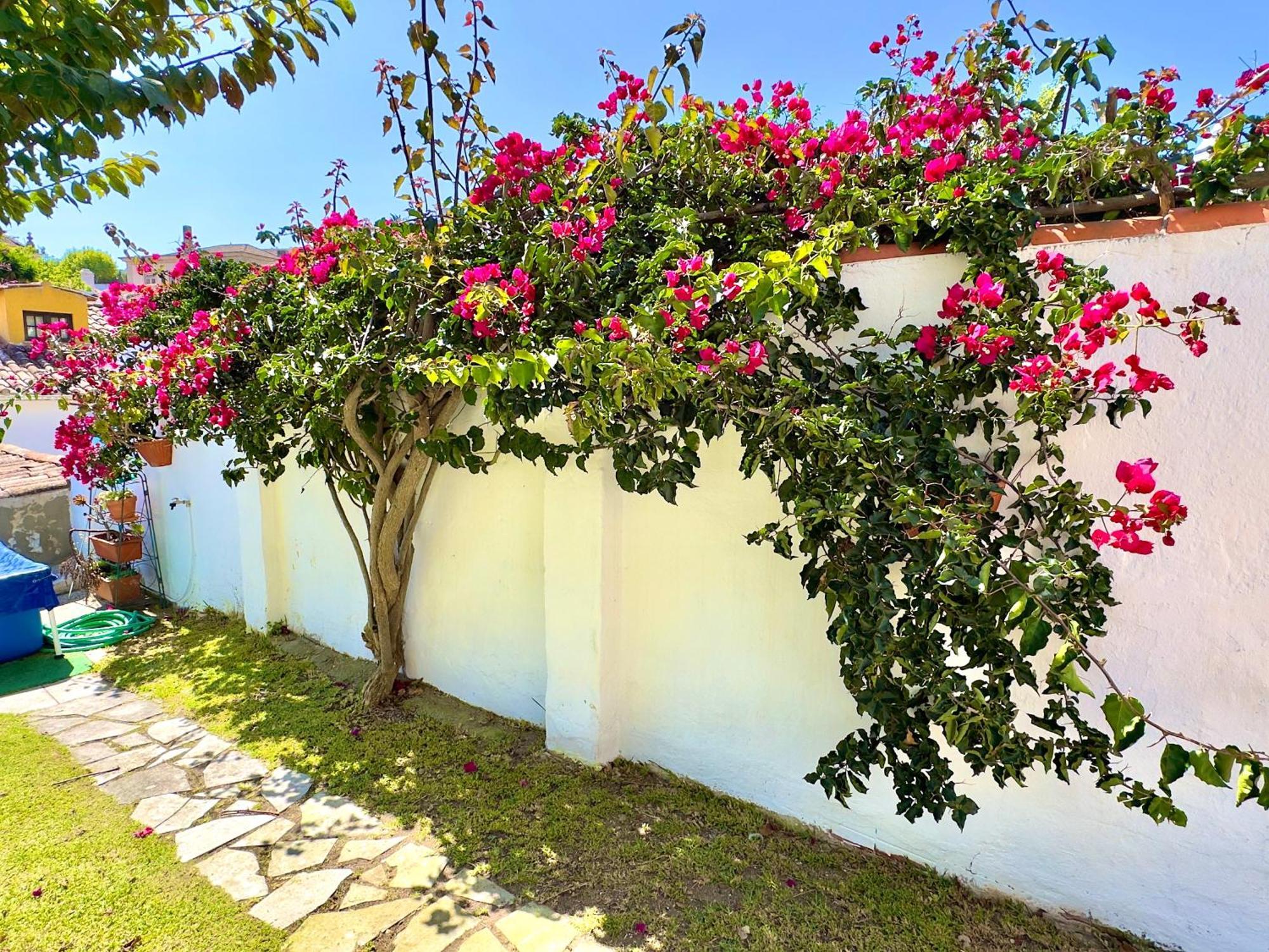 Casa Do Candeeiro Обідуш Екстер'єр фото